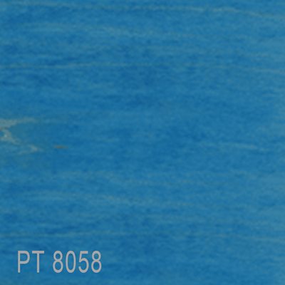 PT8058