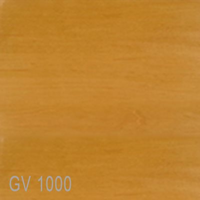 GV1000