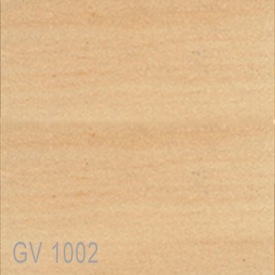 GV1002