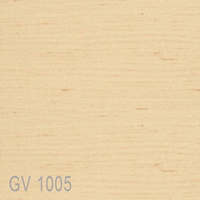 GV1005
