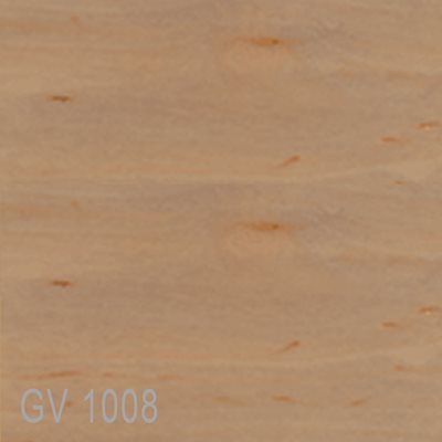 GV1008
