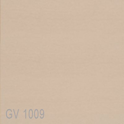 GV1009