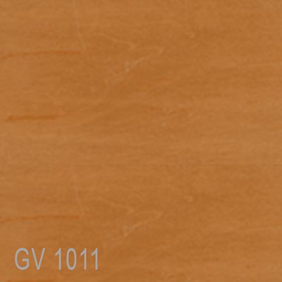 GV1011