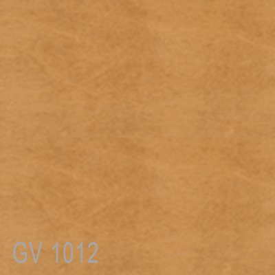 GV1012