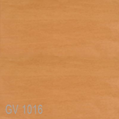 GV1016
