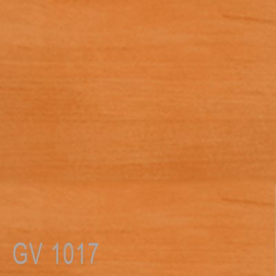GV1017
