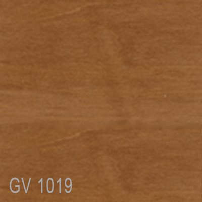 GV1019