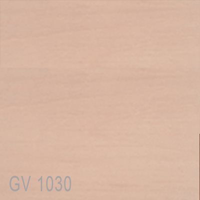 GV1030
