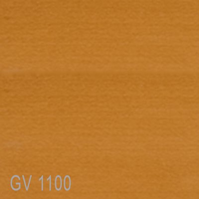 GV1100