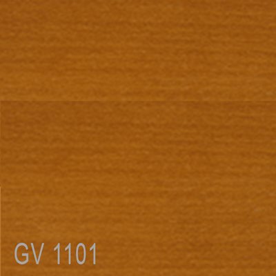 GV1101