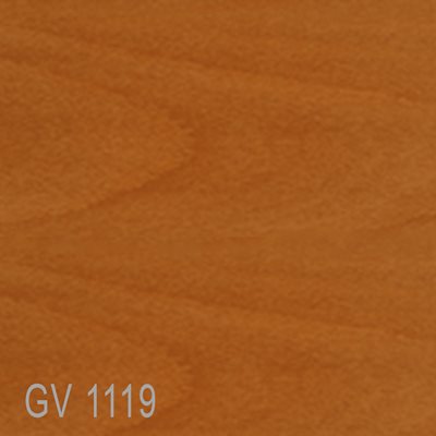 GV1119