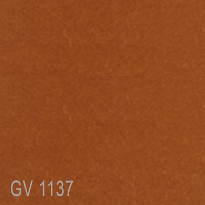GV1137