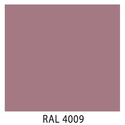 Ral 4009