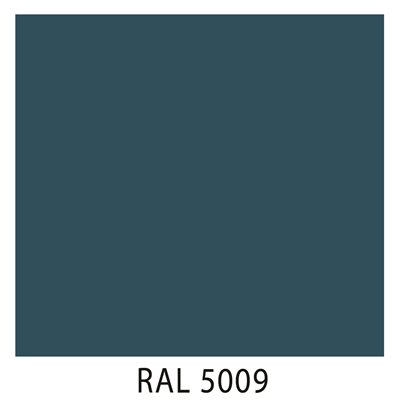 Ral 5009