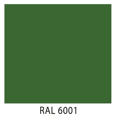 Ral 6001