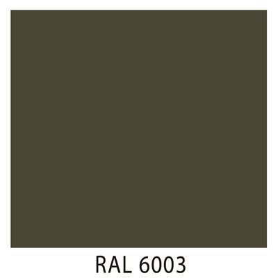 Ral 6003