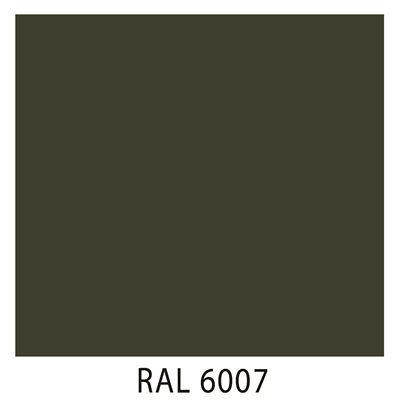 Ral 6007