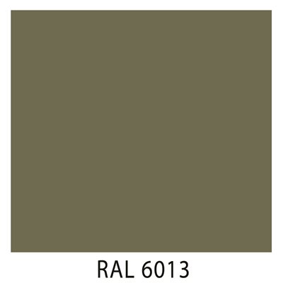 Ral 6013