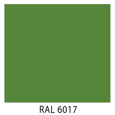 Ral 6017