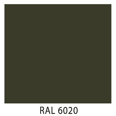 Ral 6020