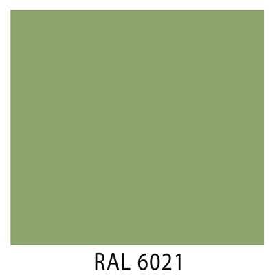 Ral 6021