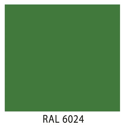Ral 6024