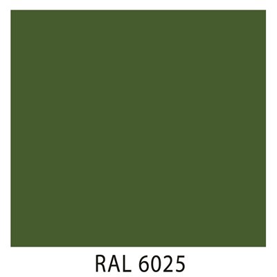 Ral 6025