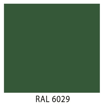Ral 6029