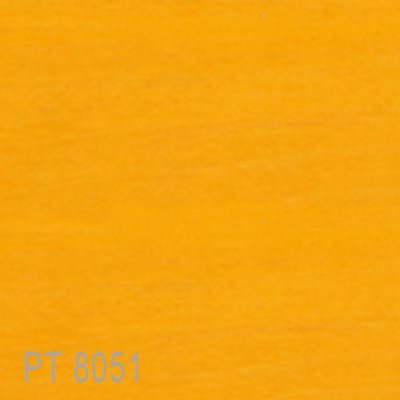 PT8051