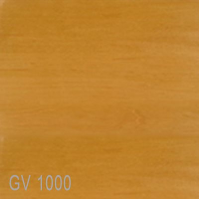 GV1000