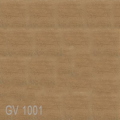 GV1001
