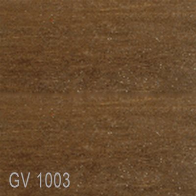 GV1003