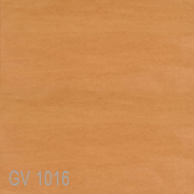 GV1016