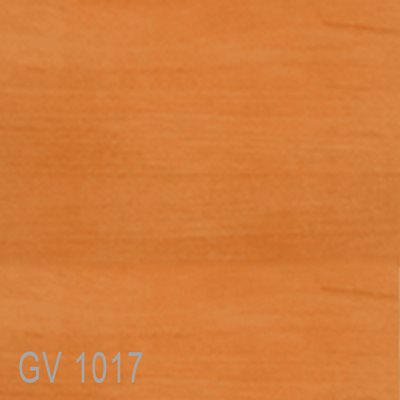 GV1017