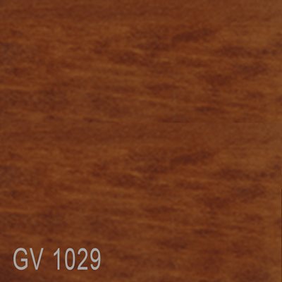 GV1029