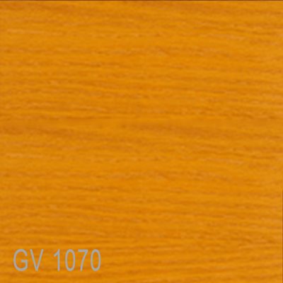GV1070
