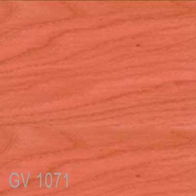 GV1071