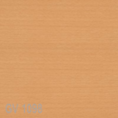 GV1098