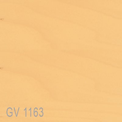 GV1163