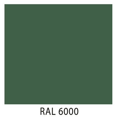 Ral 6000