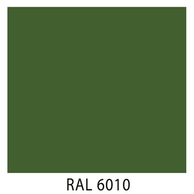 Ral 6010