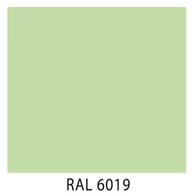 Ral 6019
