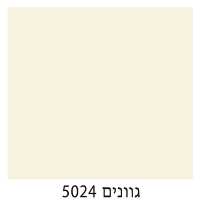 5024