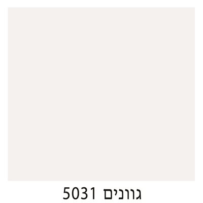 5031