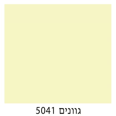 5041