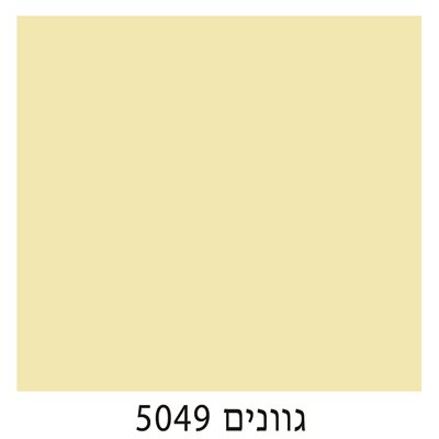 5049
