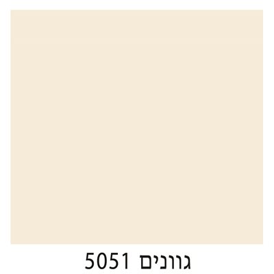 5051