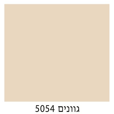 5054
