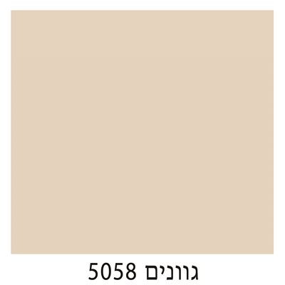 5058