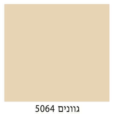 5064